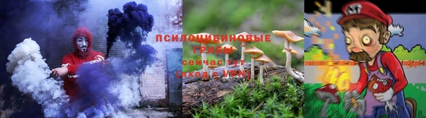 спиды Козловка