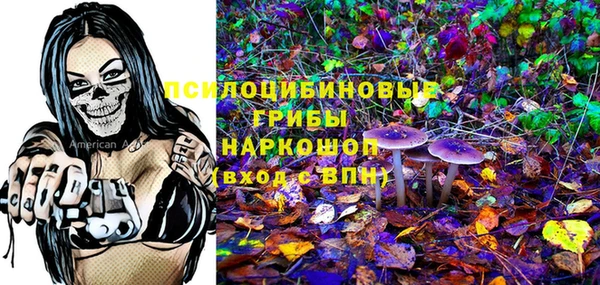 спиды Козловка