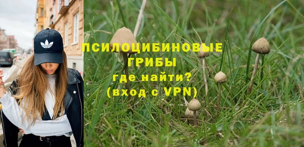 спиды Козловка