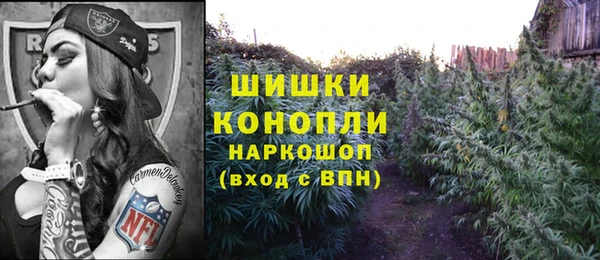 прущий лед Козельск